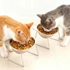 304 Stainless Steel Raised Cat Bowl with 15° Elevated Tilted Design Neck Guard Shatterproof Anti-Slip Healthy Feeding Pet Bowl 2