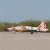 Freewing RC Plane 80mm Ducted Fan F5-n  Tiger "phantom." Edf Jet Simulation Model Of Airplanes Adult Toy Gifts 4
