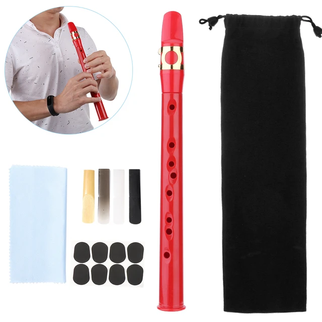 8-hole Mini Pocket Saxophone with Accessories Set Professional Saxophone  for Beginner Music Lover Woodwind Instrument - AliExpress