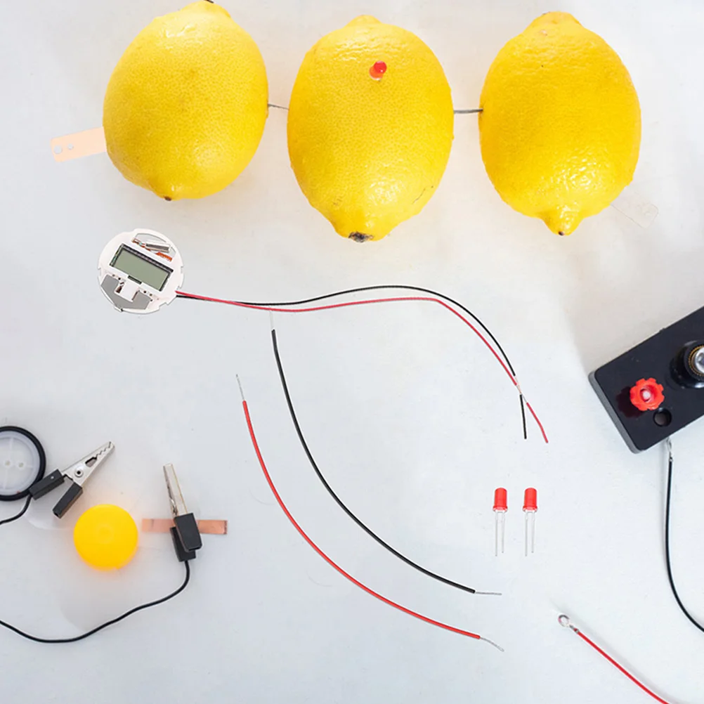 2 Sets Potato Fruit Experiment Kit Student Kids Toys Experiments Metal Lemon Science