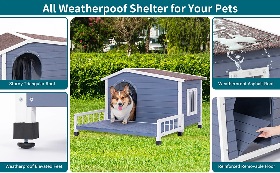 dog house