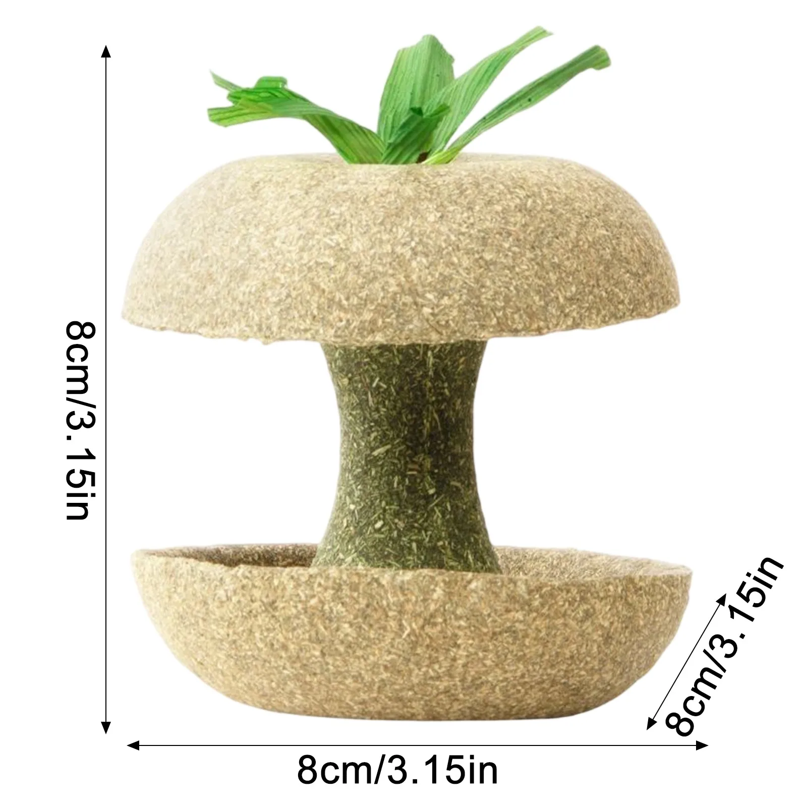 Natural Grass Chewing Sticks For Hamsters And Guinea Pigs_voghion.com