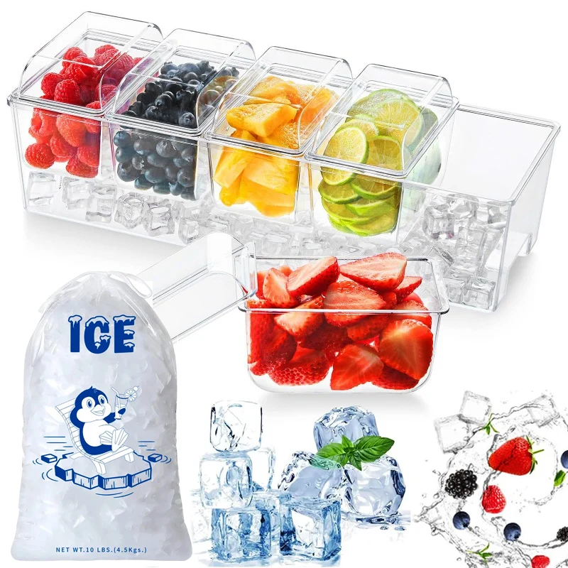 5 Compartment Clear Party Platter Fridge Kicthen Tray 10 Packs 8lbs Storage Bags Serving Dishes for Veggie Fruits Appetizer