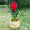 Seaweed Wicker Basket Rattan Hanging Flowerpot  Dirty Clothes    Storage    WF1015 4
