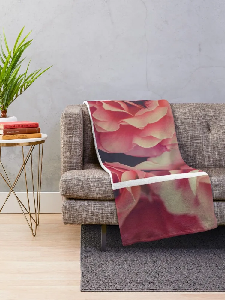 1975 �ɹ��� ���簢�� ������ ���, �ε巴�� ū ���