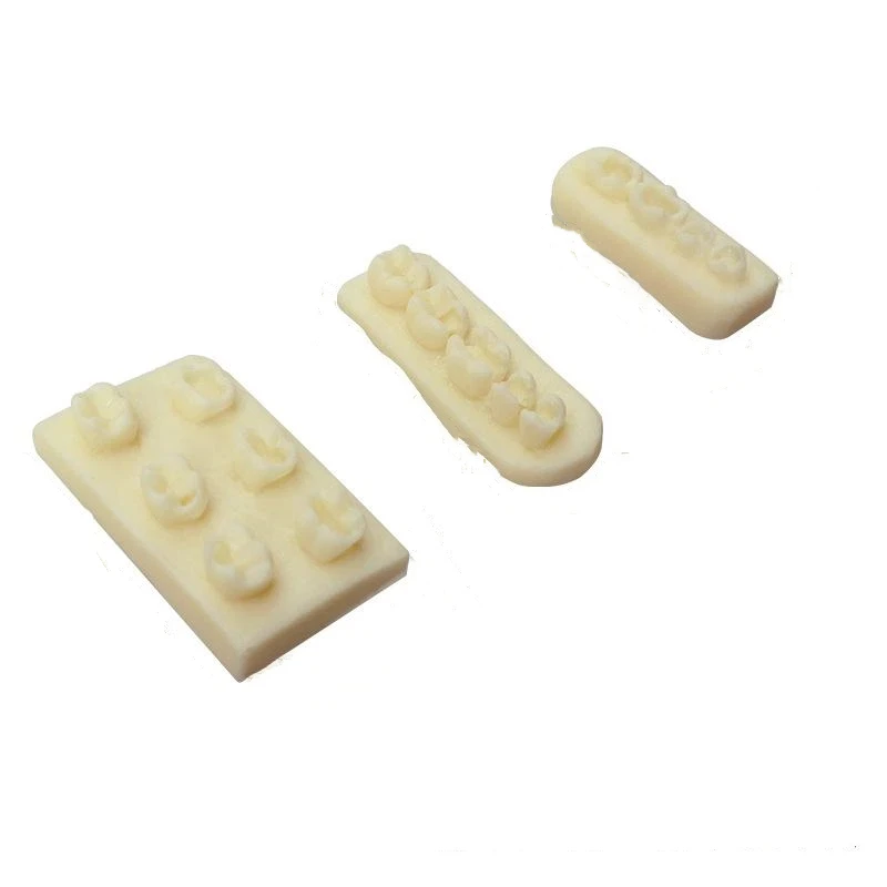 1PCS 레진 치아 형태학 연습 모델 치근관 충전 인레이 레진 모듈 치과 교육 훈련용 레진 모델 도구