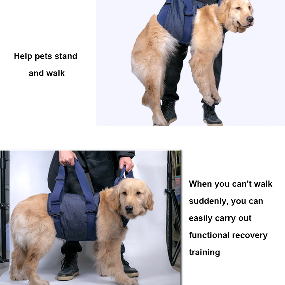 Adjustable Pet Dog Harness Auxiliary Belt Rehabilitation Vest Help Walking Dogs Balance Elderly Dogs Safety Walking Aided Strap