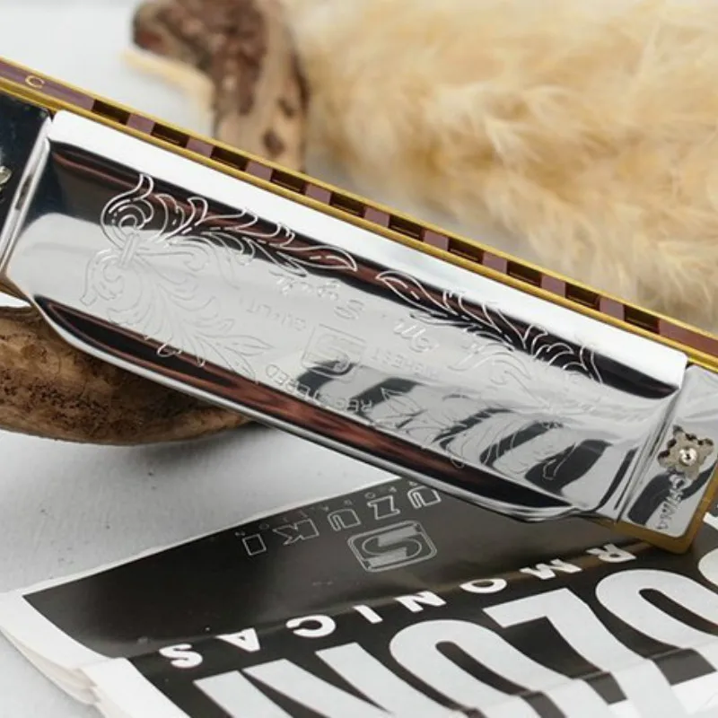 Diatonic Harmonica Suzuki 10 Holes C Key