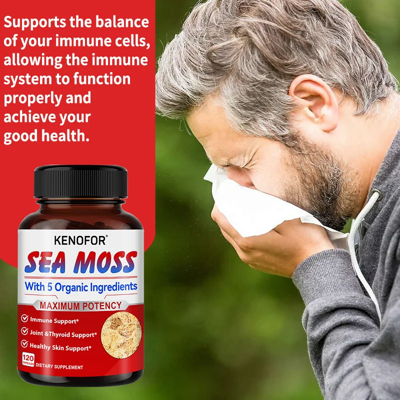 Organic Sea Moss, Fucus Extract-Supports Skin, Joint and Digestive Health, Weight Management, Aids in Weight Loss