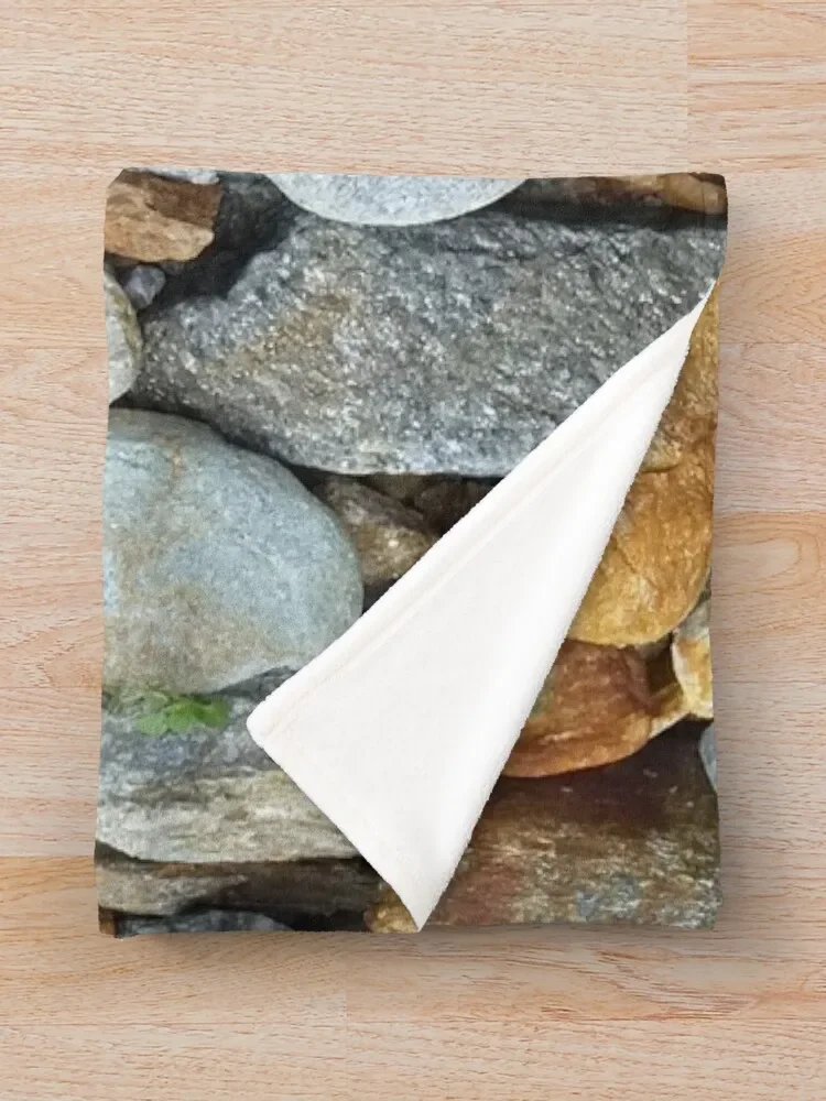 õ�� ����, �̳׶� �ϼ� ������ ���, ���� ���, ��Ƽ�� ���