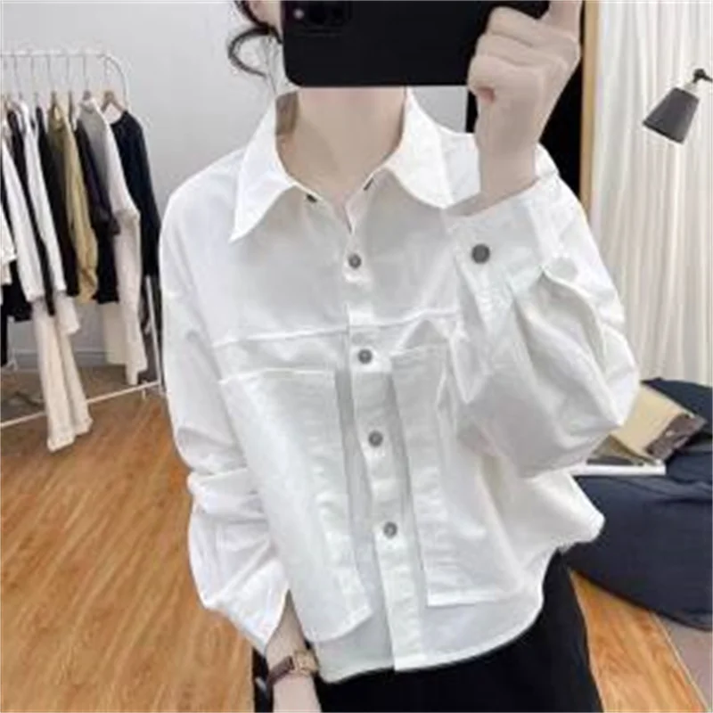 

Spring 2024 New Bottoming Shirt Women's Design Sense Short Cotton Long-sleeved Shirt Female Polo Collar Loose Age-reducing Top