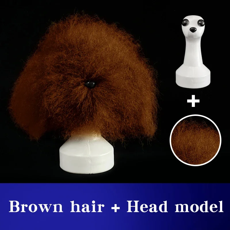 Brown hair and Model