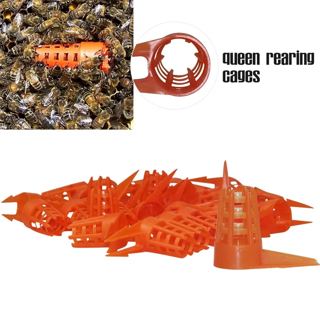 Bee Queen Push-In Protector Nevelő Sapka Védő Cella Borító Méhész Eszközök