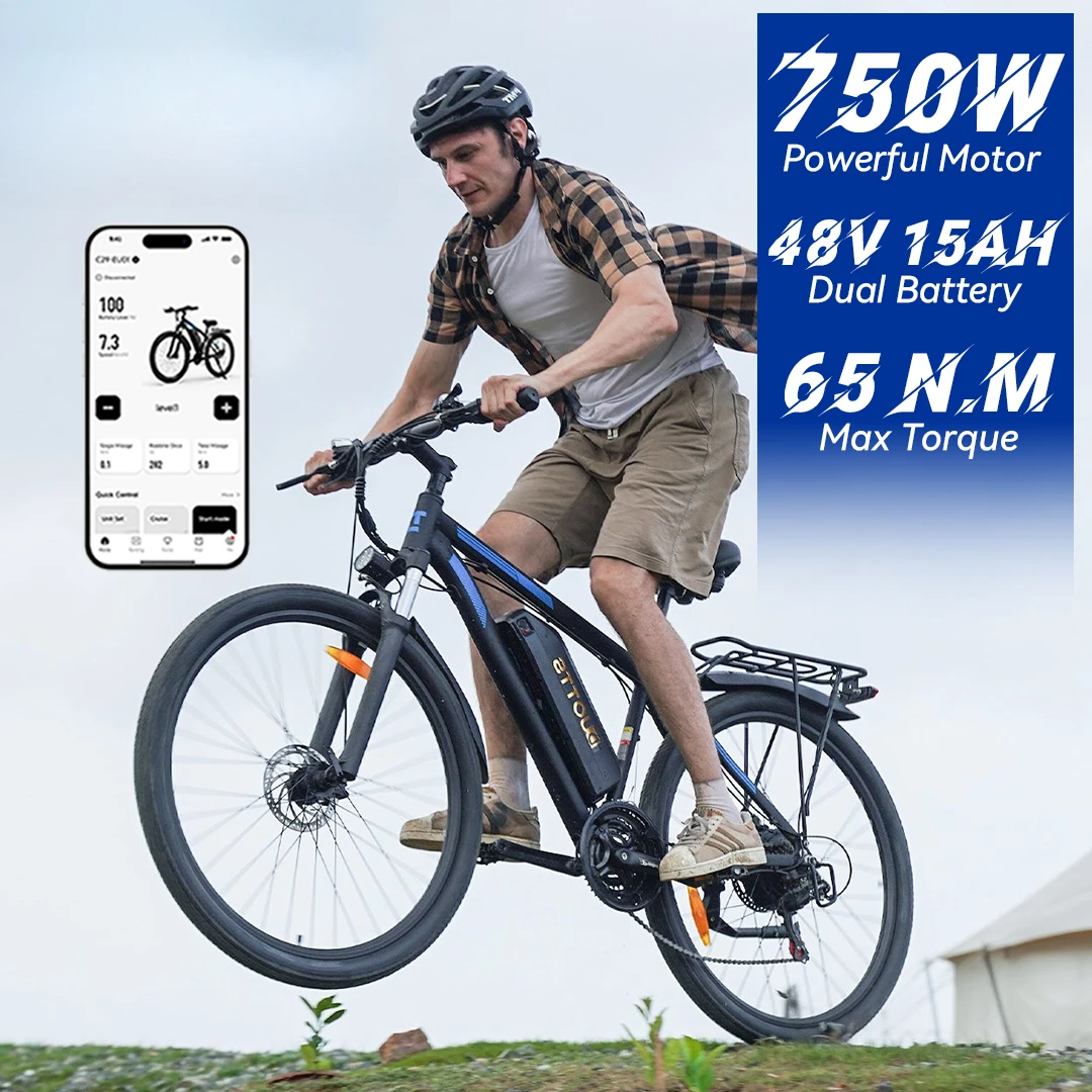 DUOTTS C29 750W 48V 15AH 29 inch Electric City Cargo Road E Bike Electric Hybrid Mountain Dirt Ebike Bike Adult Fatbike