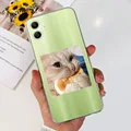 Case-c53