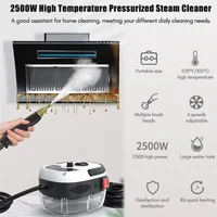 2024 New Steam Cleaner High Temperature Disinfection Air Conditioning Kitchen Range Hood Household Car Steam Cleaner.jpg