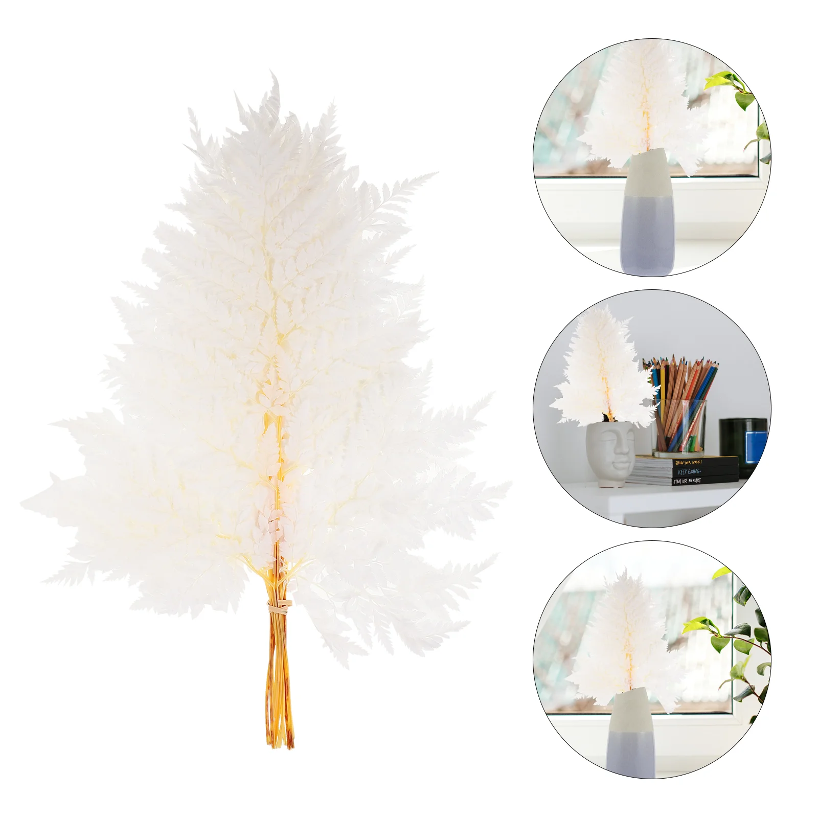 

Fern Leaves Dried Plant Bouquet Model Decorative Plants Layout Scene Artificial