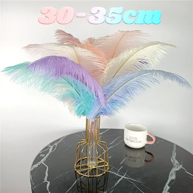 Ostrich Feathers 10Pcs/Lot Colored for Crafts Wedding Decoration Handicraft Accessories