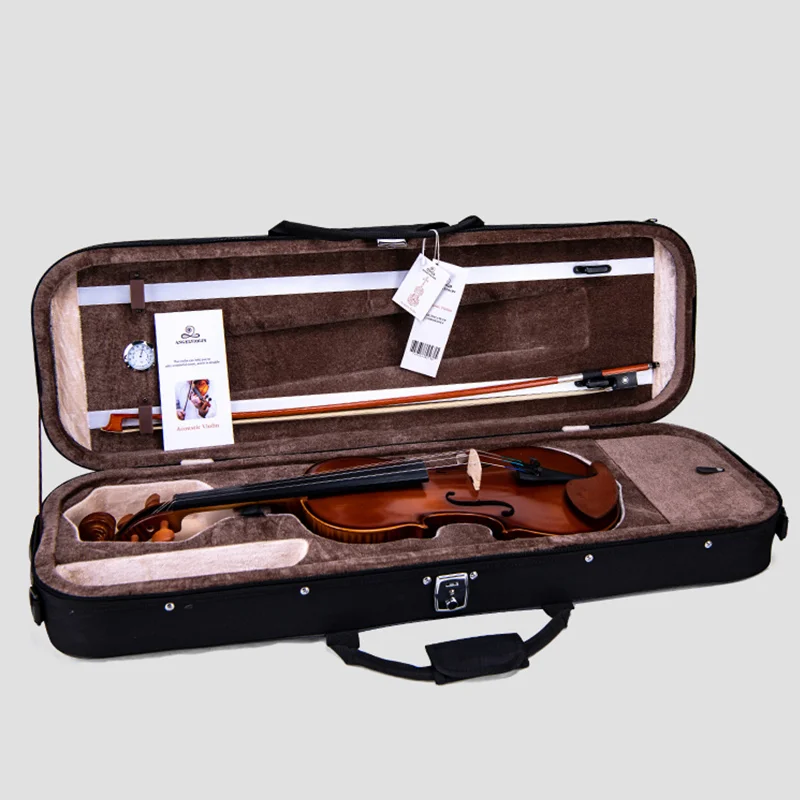 Mallette noire de rangement pour violon, étui rigide et étanche pour  accessoires d'instruments de musique - AliExpress