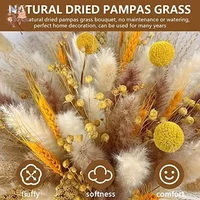 100Pcs Premium Dried Flowers Pampas Grass
