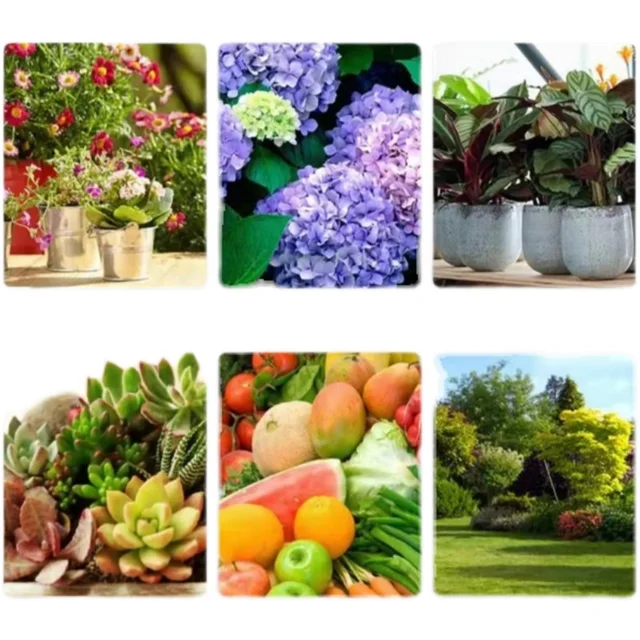 10G/Táska Kertészeti Univerzális Hosszú Távú Lassú Kiadású Műtrágya Összetett Otthoni Kertészethez - Image 5