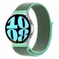 Spearmint 31