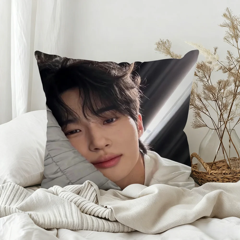 Popular Actors B-Byeon Woo Seok Kissenbezug für Schlafzimmer, Sofa, Wohnzimmer, Rückenlehne, Dekoration, quadratisches Kissen, Nickerchenzeit – Detail 5