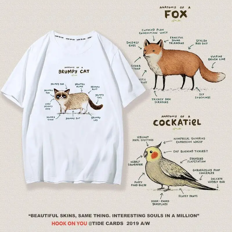 Животное разборный Креативный дизайн в европейском стиле grumpy cat starling Анатомия
