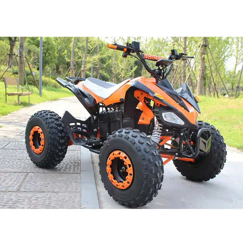 

The New Electric Little Mars ATV Electric ATV Experience A Different Adult Electric ATV