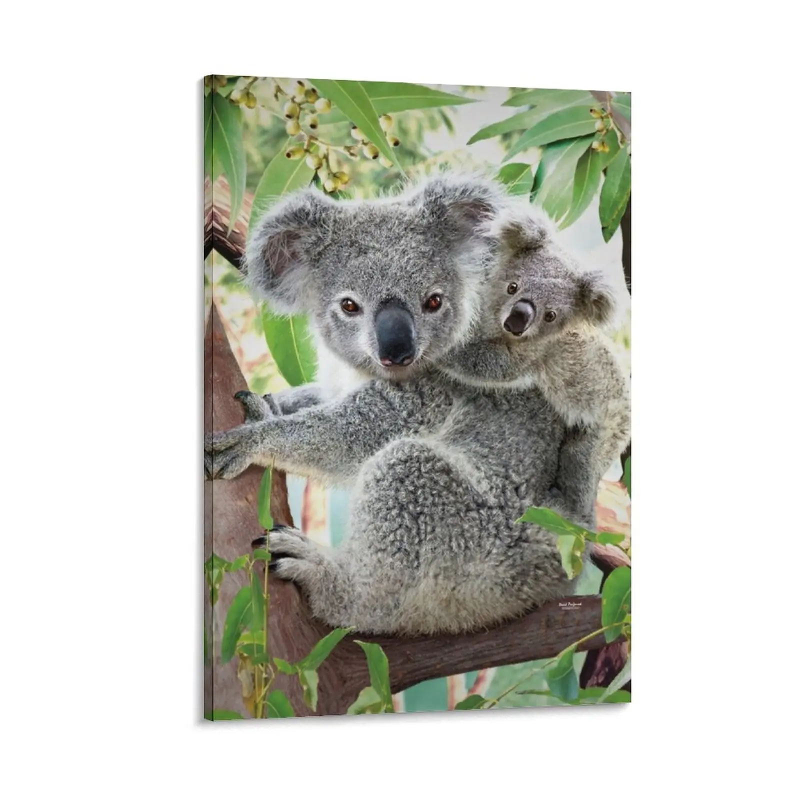 

Koala Cuddles Canvas Painting korean room decor painting