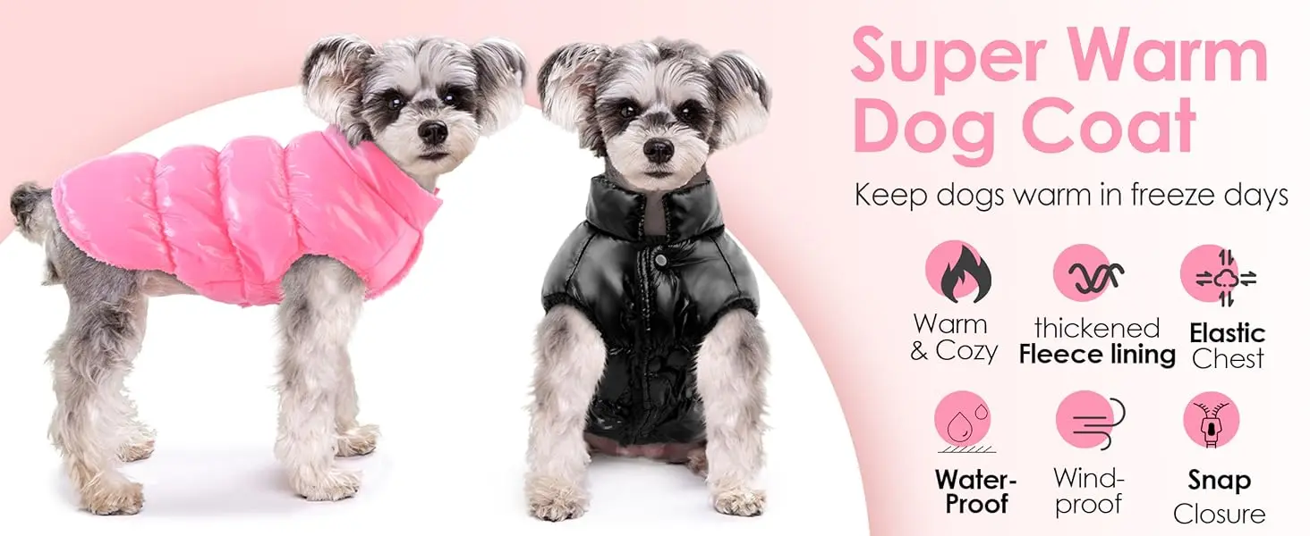snowsuits for dogs