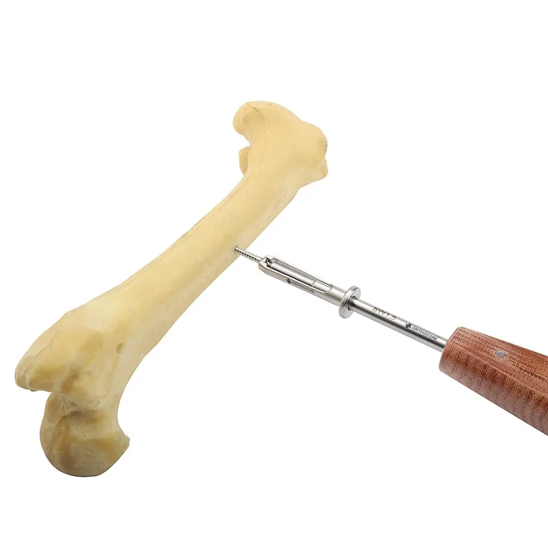 3.5mm Stainless Steal Self-tapping Cortical Screws Veterinaria Mascotas Pets Orthopedic Surgical Implants Medical Equipments