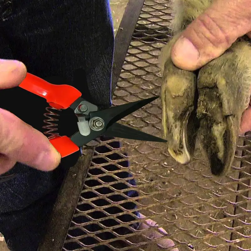 Hoof Trimmers For Goats And Sheep Horse Clippers Spring-Loaded Ergonomic Hoof Trimmers Precision Trimming Shears Stainless Steel
