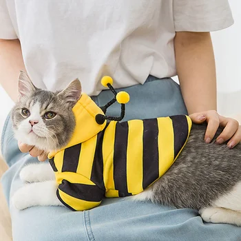 Pet Clothes Transformed Into Little Bee Spring Thin For Cat Sweater Hooded Small Dog Two Legged.jpg