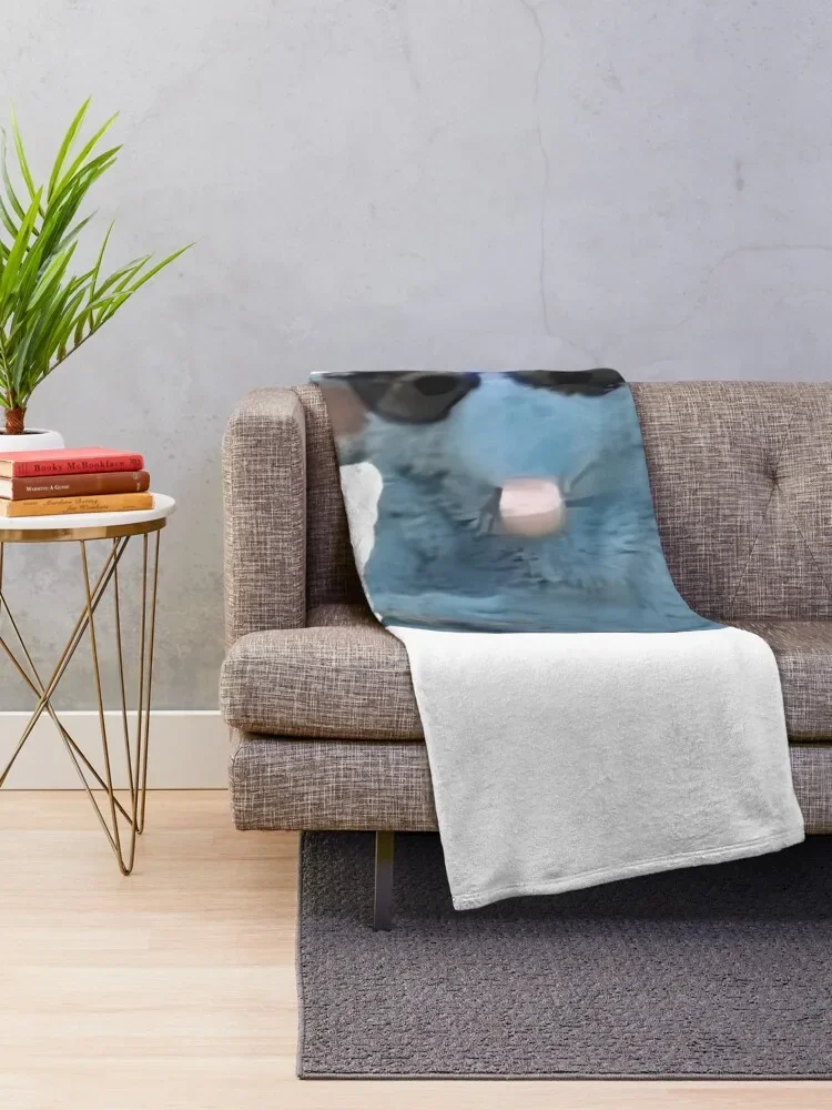 �� ���� ���콺 ������ ���, ���� ���, ���Ÿ� �귣��