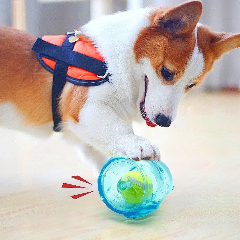 Dog Chewing Toy Tennis Ball Bear Toy Squeak Pet Toy Fun Puppy Sounding Toy Pet Bite Resistant Molar Toy Pet Supplies 2