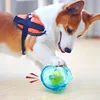 Dog Chewing Toy Tennis Ball Bear Toy Squeak Pet Toy Fun Puppy Sounding Toy Pet Bite Resistant Molar Toy Pet Supplies 2