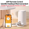 ROJECO Automatic Cat Feeder Pet Smart Cat Food Kibble Dispenser Remote Control Auto WiFi Double Feeder For Cats Dog Accessories 3
