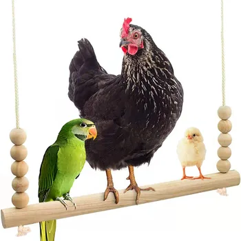 Hanging Chicken Bird Swing Toy 1