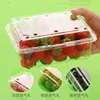 100pcs Fruit Box with Lid Disposable Plastic Transparent 1kg Packaging Boxes Strawberry Grape Fruit Vegetable 500g Wrapping Box 4