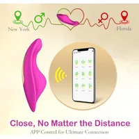 Tragbarer Vibrator mit Fernbedienung für Paare, Sexspielzeug, Mini-Vibrationshöschen, 9 Modi, Vibration, APP-Steuerung, Klitoris-Paar-Vibrator für Frauen 5