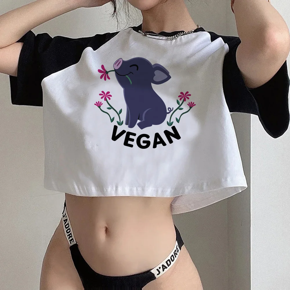 

pigs