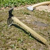 Garden Claw Rake with Wooden Handle Hand Rake Hoe 4/5-Teeth Steel Clamming Claws Gardening Tool For Loosening or Weeding Soil 4