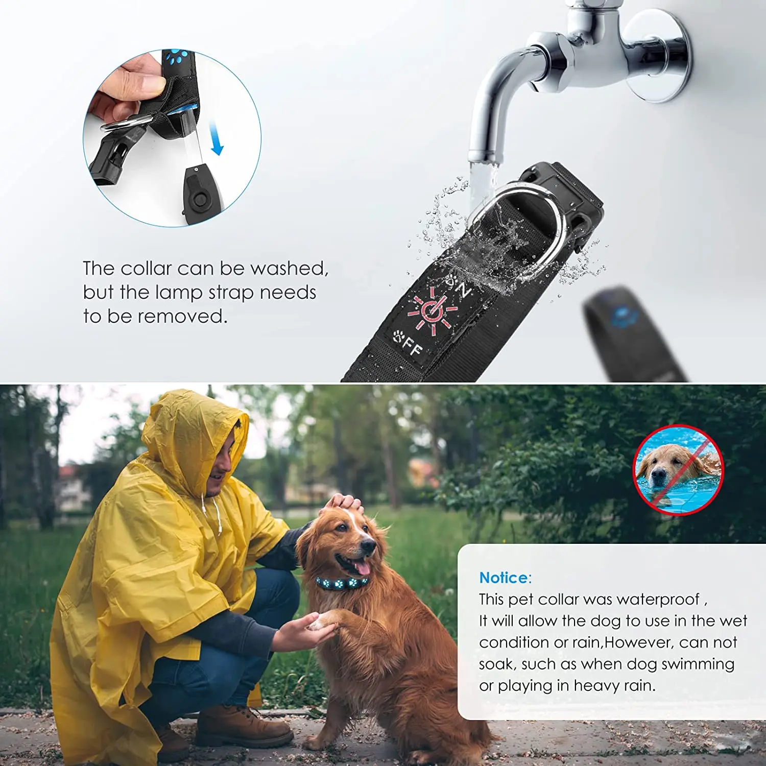 Pet Led Collar