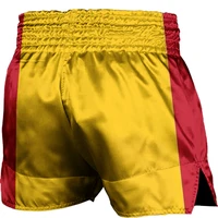Spanish Flag Fighting Shorts Kids Adult Gym Sports Judo Taekwondo Thai Boxing Shorts 2