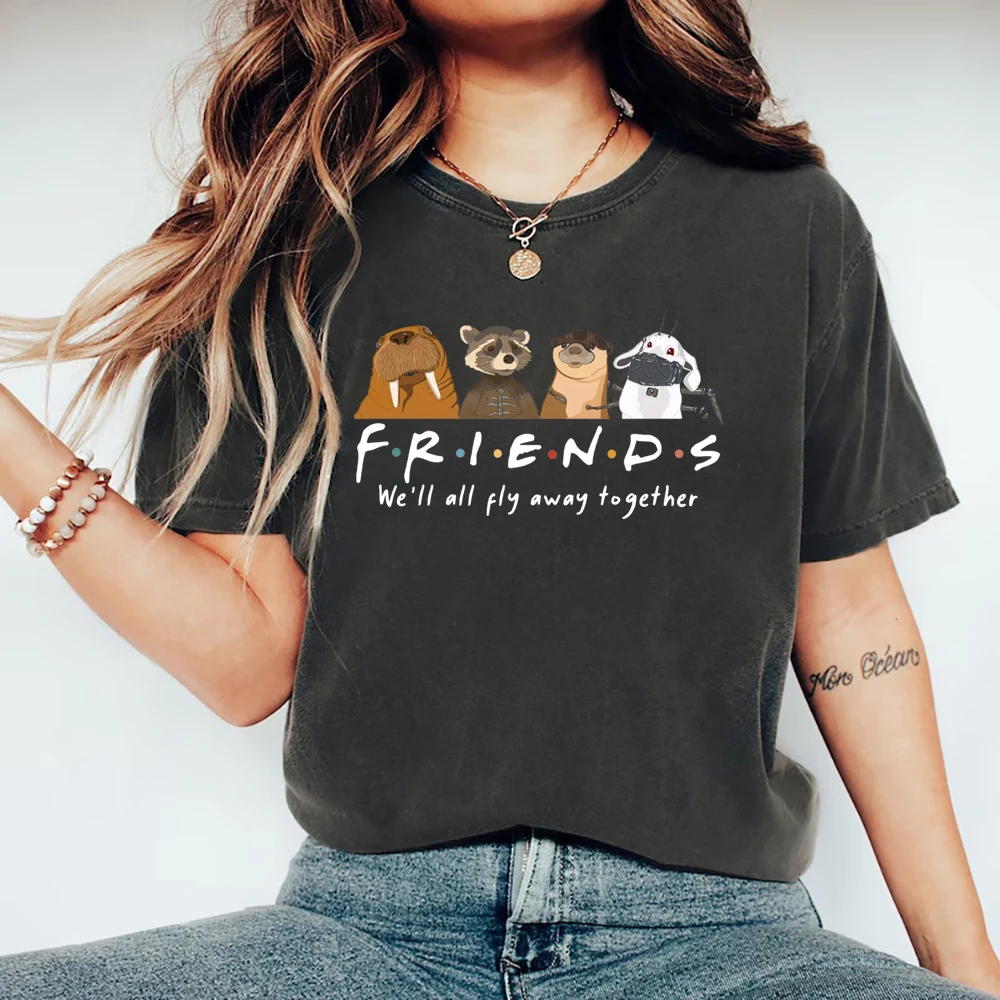 Rocket and Friends We'll Fly Away Together Inspired Streetwear Tee