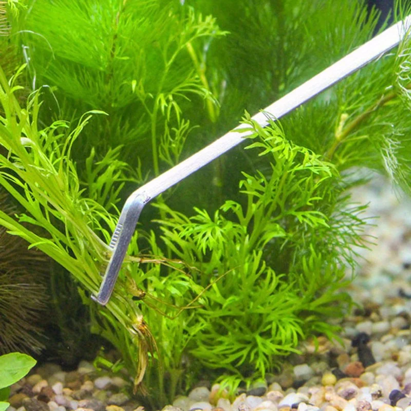 Stainless Steel Aquarium Scissor/Tweezers Tool Long Aquarium Cleaning Plant Spatula Tool Fish Tank Maintenance 1pc Tweezer Tool