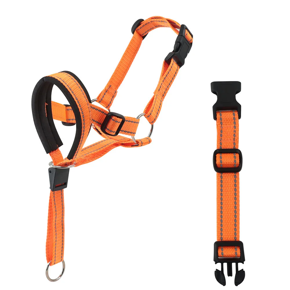 Pet Gentle Leader Leash 6
