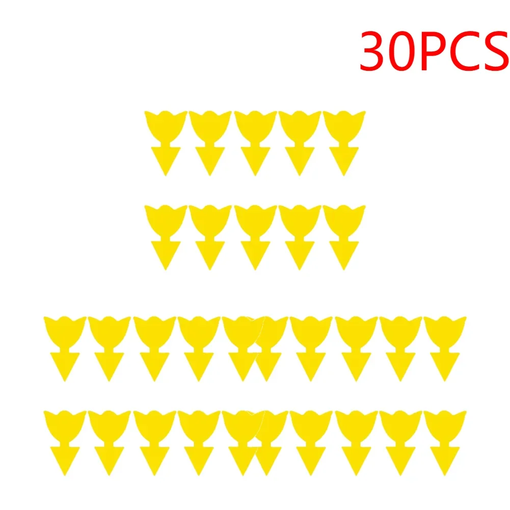 tulips-30pcs