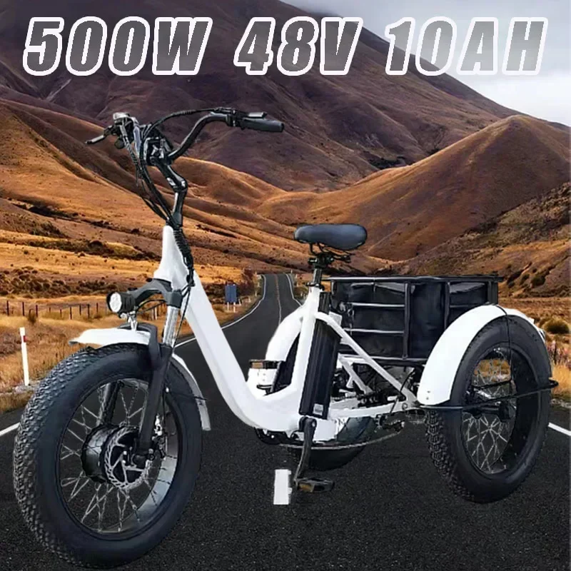 3 Wheel Electric bicycle 500W Powerful Motor 48V10AH Remove lithium battery Snow E-bike 20 inch Fat Tire Cargo Electric Tricycle